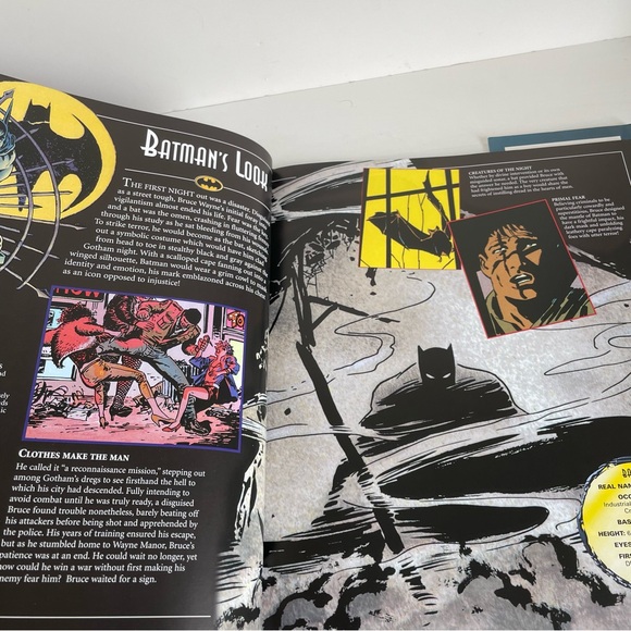 DK Batman book - Picture 4 of 4